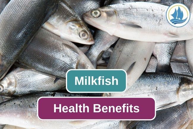 4 Reasons Why Milkfish Is Good For Your Health